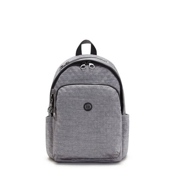 Kipling Delia Classic Backpacks Silver | USA-49ECSH