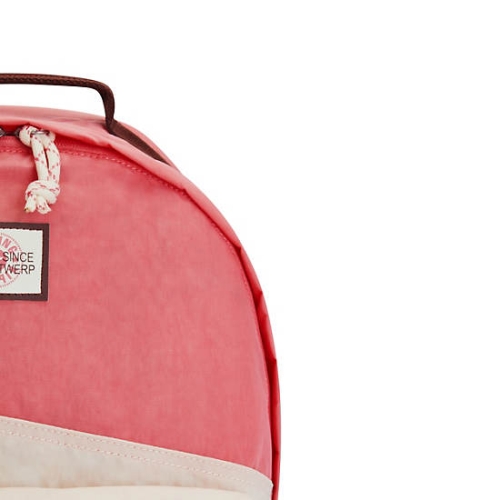 Kipling Damien Large Laptop Backpacks Pink | USA-65UZAP