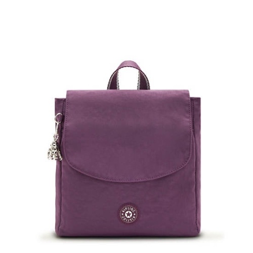 Kipling Dannie Small Backpacks Purple | USA-95AYBO