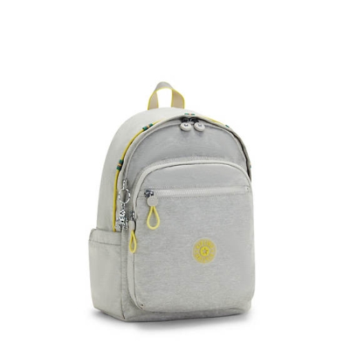 Kipling Delia Classic Backpacks Grey | USA-14CGRN