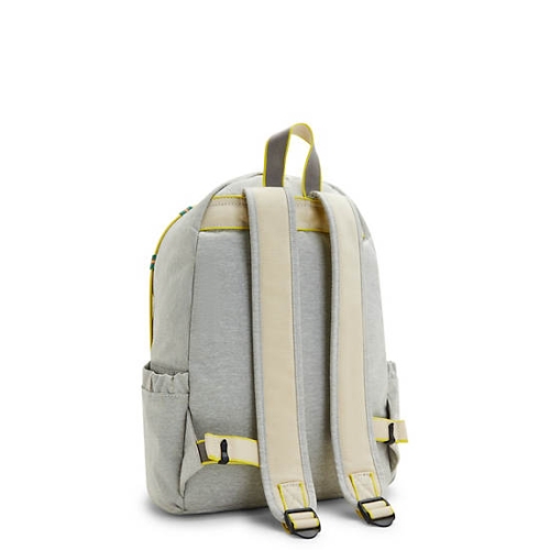 Kipling Delia Classic Backpacks Grey | USA-14CGRN