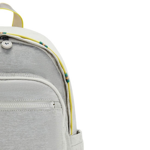 Kipling Delia Classic Backpacks Grey | USA-14CGRN