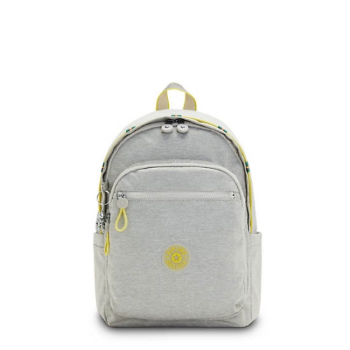 Kipling Delia Classic Backpacks Grey | USA-14CGRN