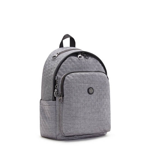 Kipling Delia Classic Backpacks Silver | USA-49ECSH