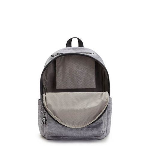 Kipling Delia Classic Backpacks Silver | USA-49ECSH