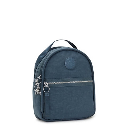 Kipling Kae Backpacks Navy Grey | USA-10DGKX